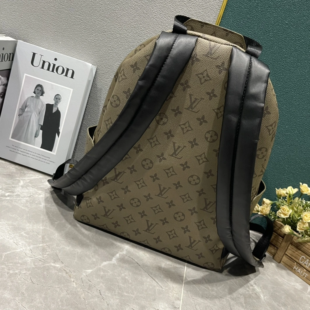 Louis Vuitton LV AAA Man Backpacks Practical 2581