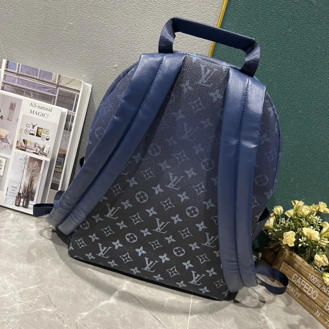 Louis Vuitton LV AAA Man Backpacks Stylish 2091