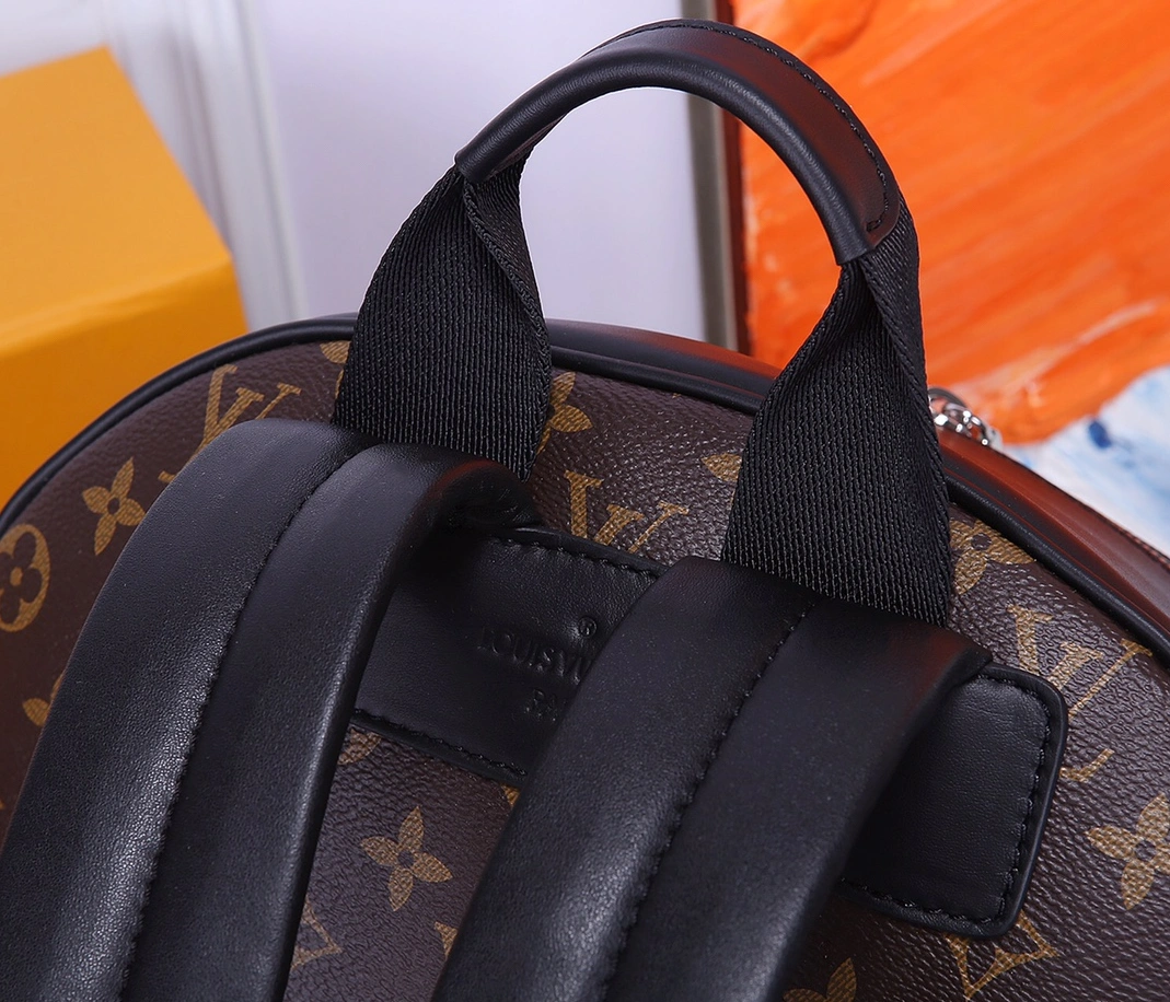 Louis Vuitton LV AAA Man Backpacks Vibrant 5088
