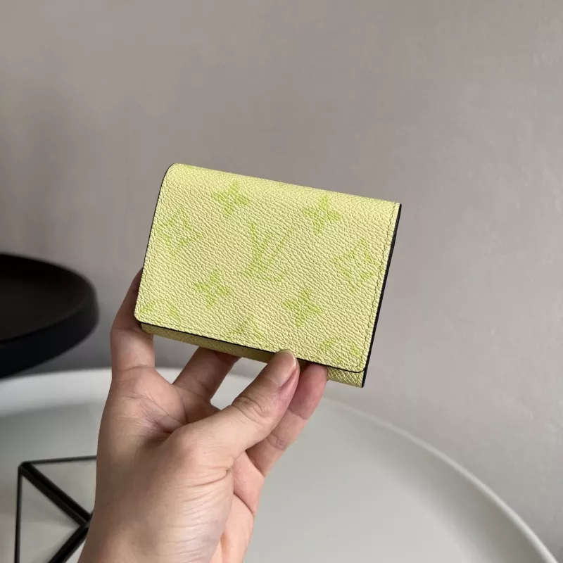 Louis Vuitton LV Card Case Sophisticated 5880