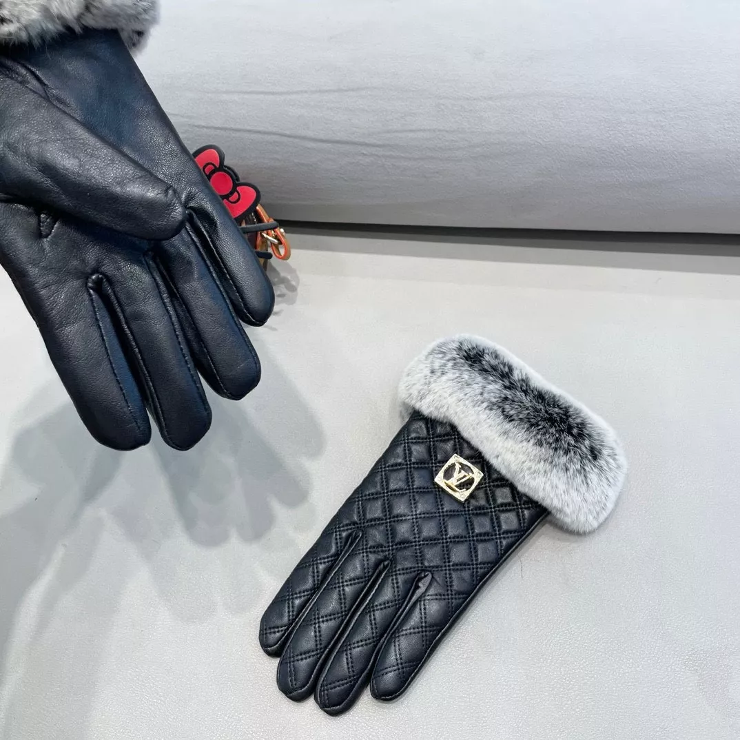 Louis Vuitton LV Gloves For Women Comfortable 6340