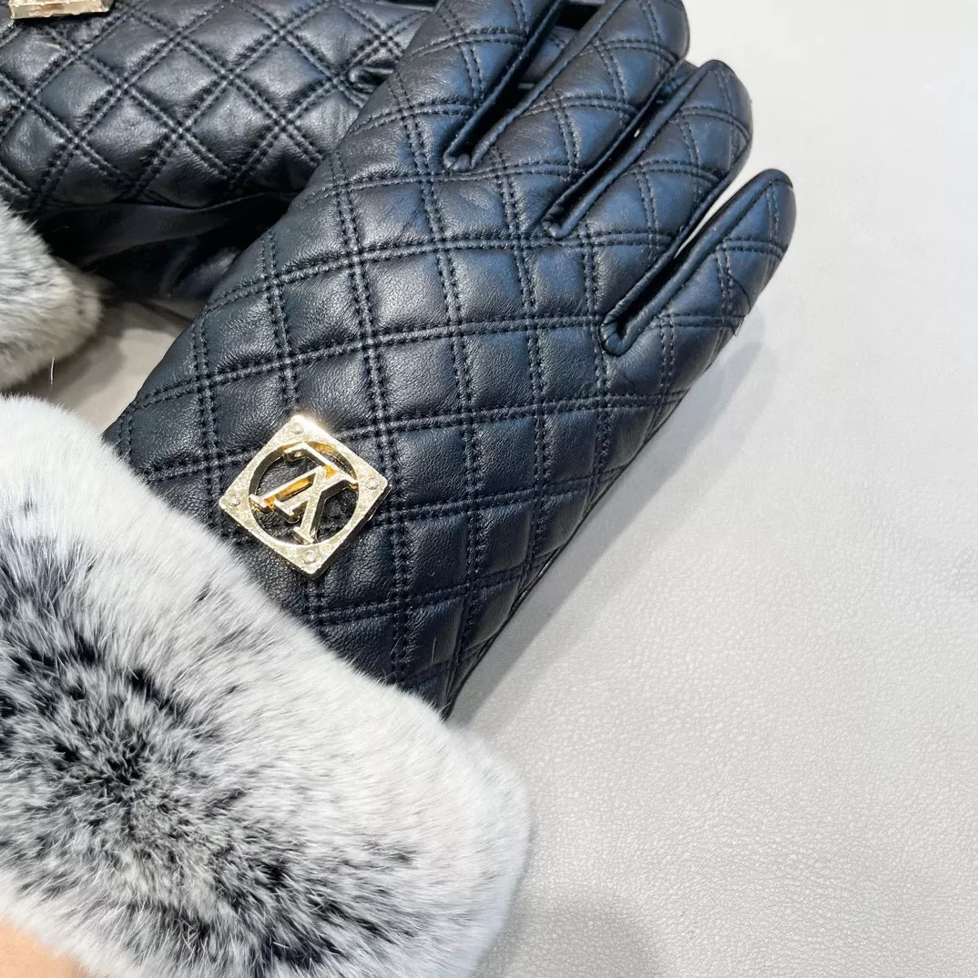 Louis Vuitton LV Gloves For Women Comfortable 6340