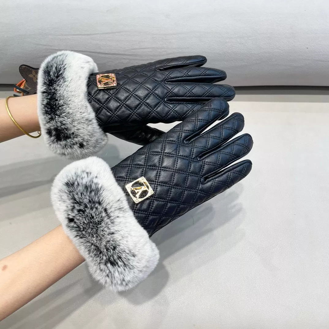 Louis Vuitton LV Gloves For Women Comfortable 6340
