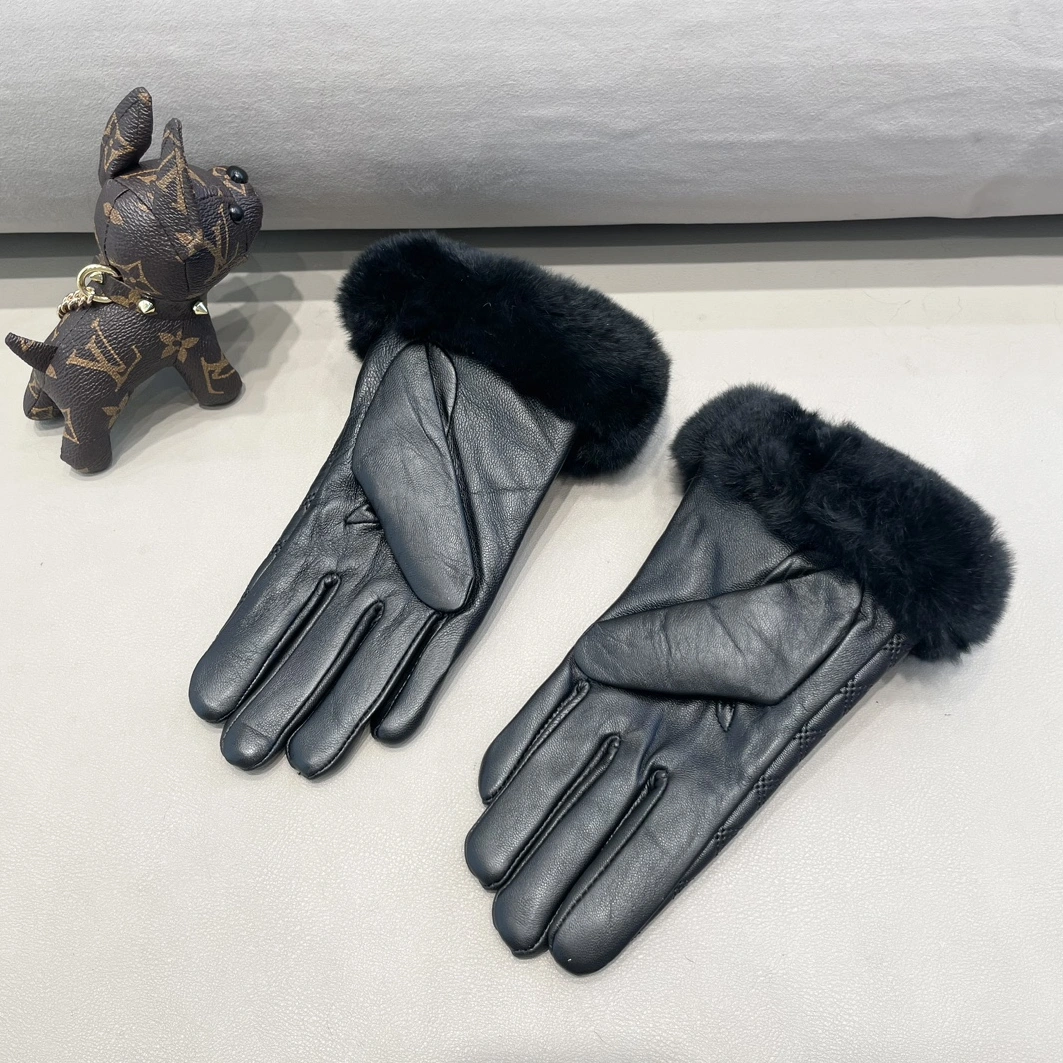 Louis Vuitton LV Gloves For Women DailyWear 4132