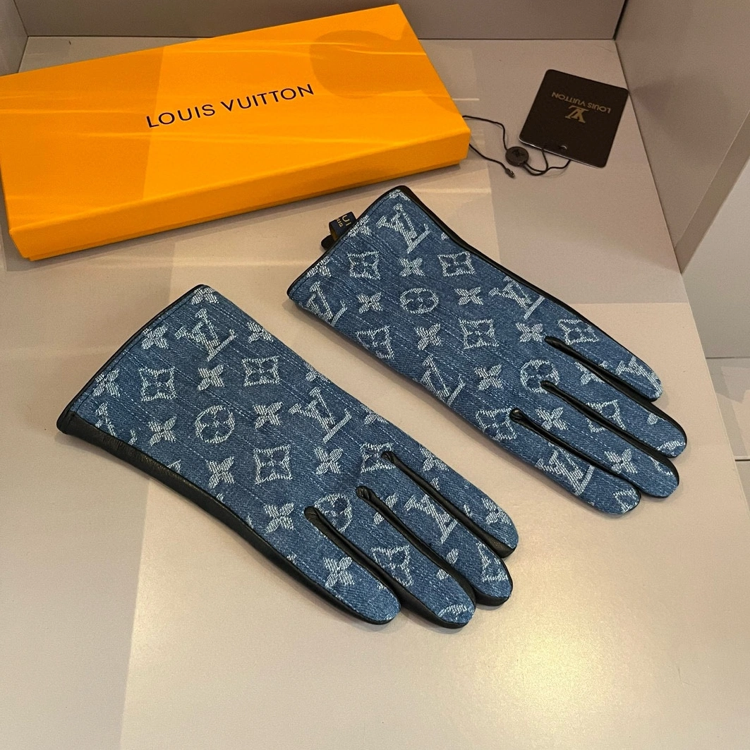 Louis Vuitton LV Gloves For Women Trendy 3091