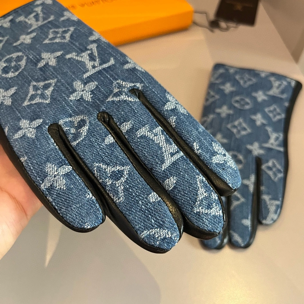 Louis Vuitton LV Gloves For Women Trendy 3091