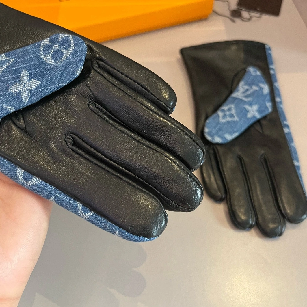 Louis Vuitton LV Gloves For Women Trendy 3091