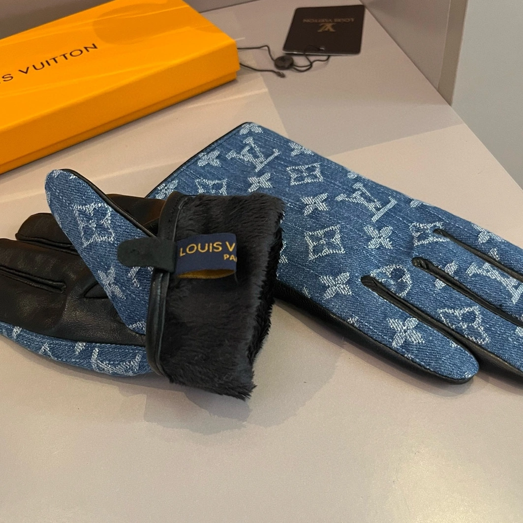 Louis Vuitton LV Gloves For Women Trendy 3091