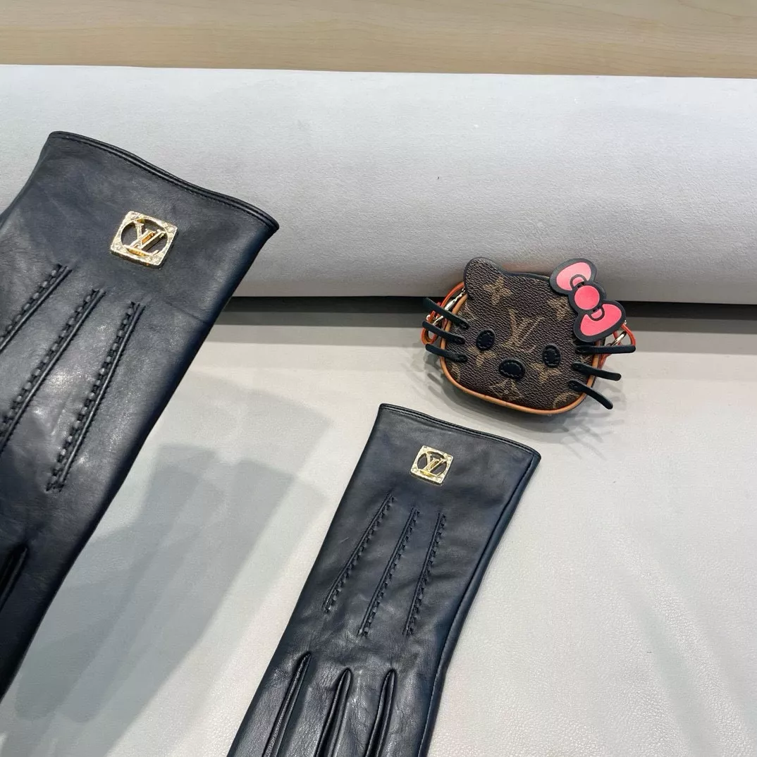 Louis Vuitton LV Gloves For Women WellDesigned 3245