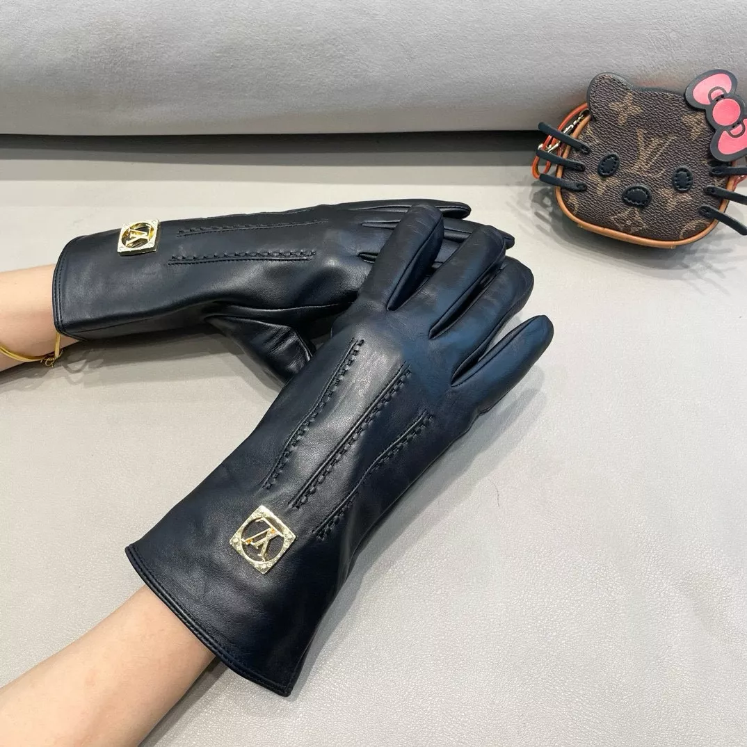 Louis Vuitton LV Gloves For Women WellDesigned 3245
