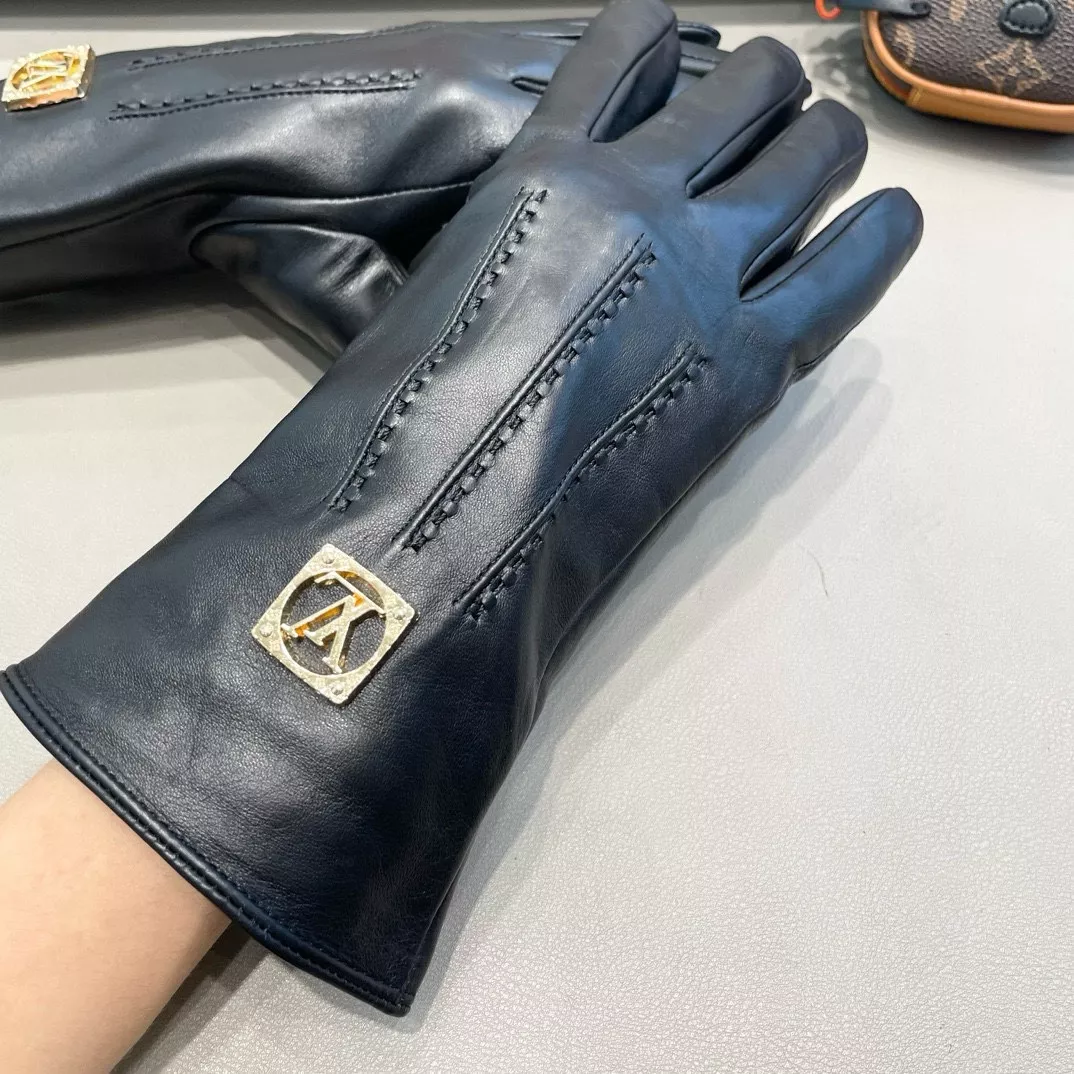 Louis Vuitton LV Gloves For Women WellDesigned 3245