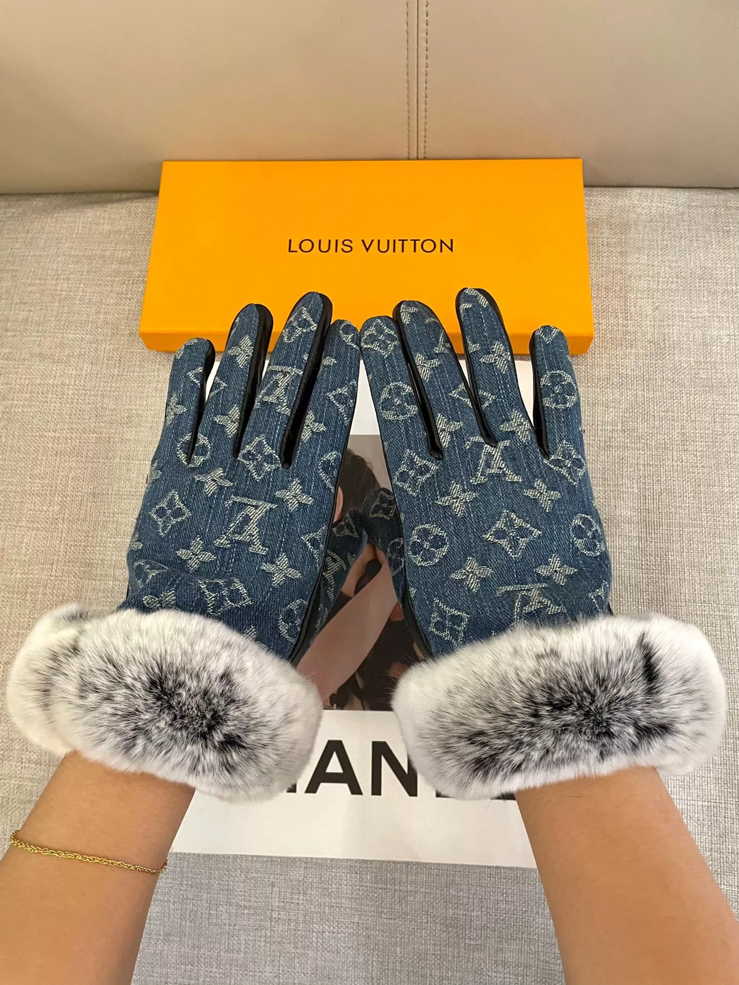Louis Vuitton LV Gloves WellDesigned 8684