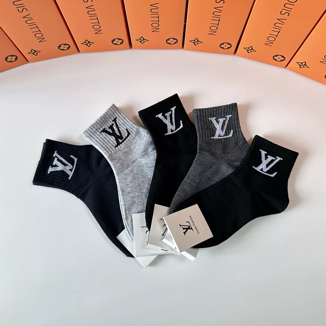 Louis Vuitton LV Socks Lightweight 2982