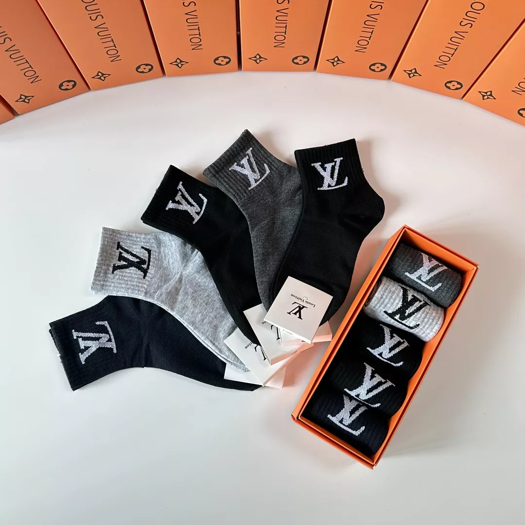 Louis Vuitton LV Socks Lightweight 2982