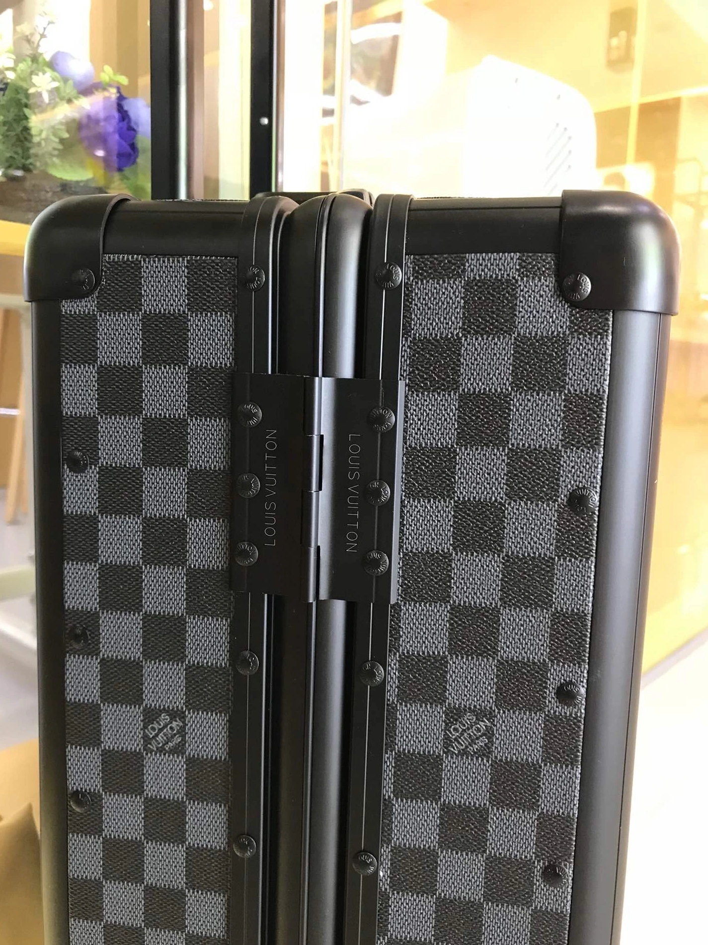 Louis Vuitton Luggage Bright 6512