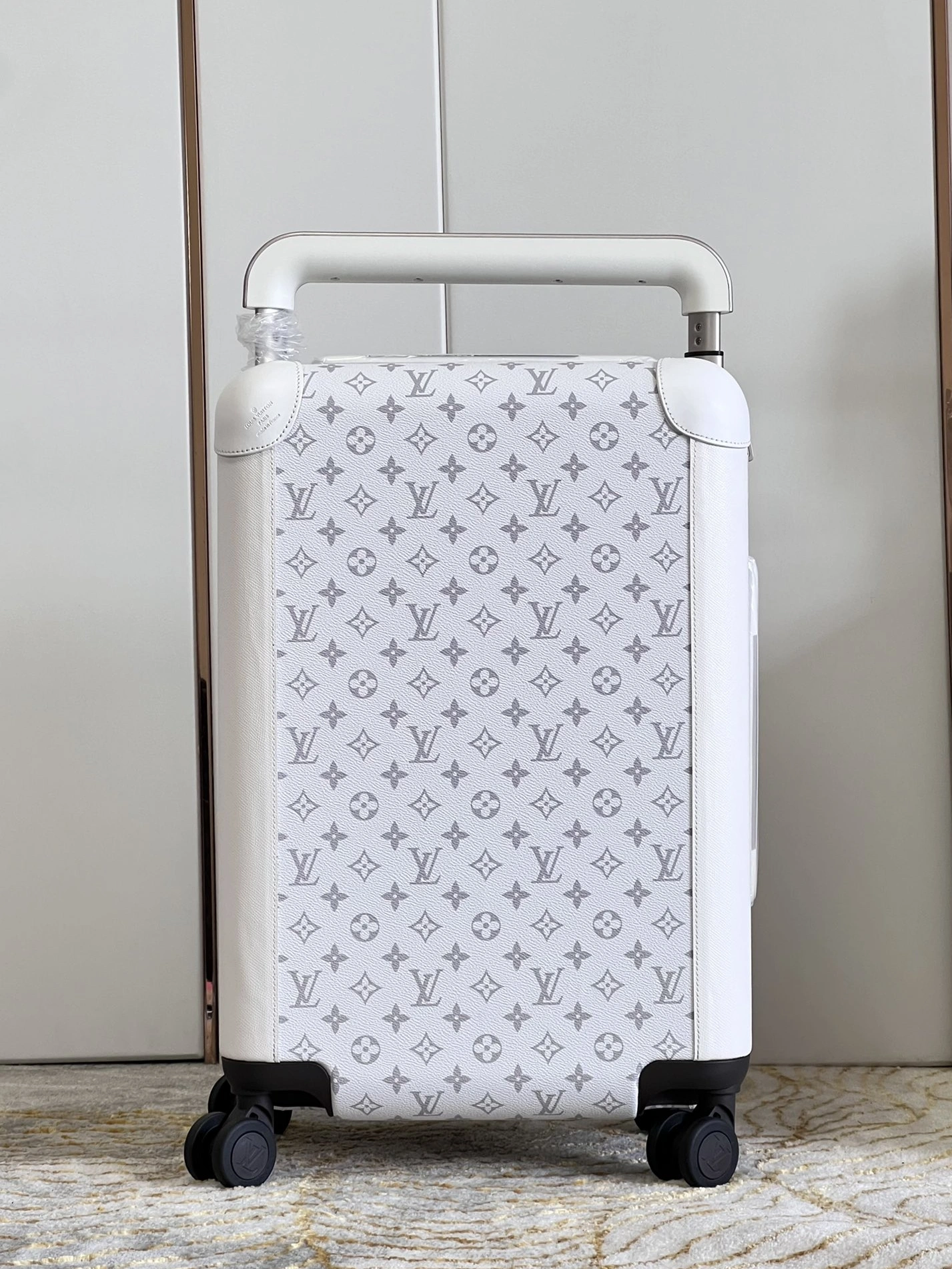 Louis Vuitton Luggage DailyWear 5791