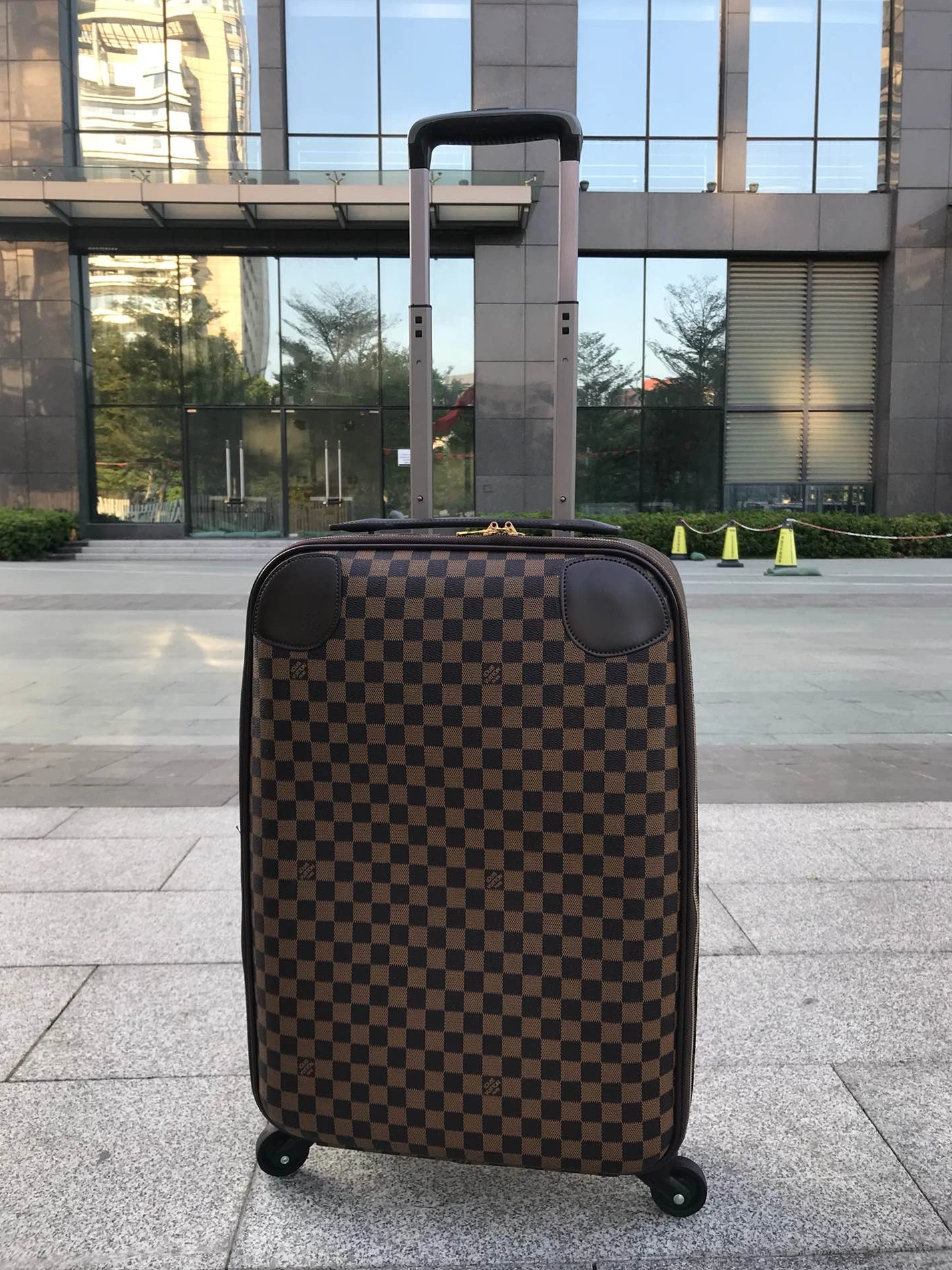 Louis Vuitton Luggage DailyWear 8676