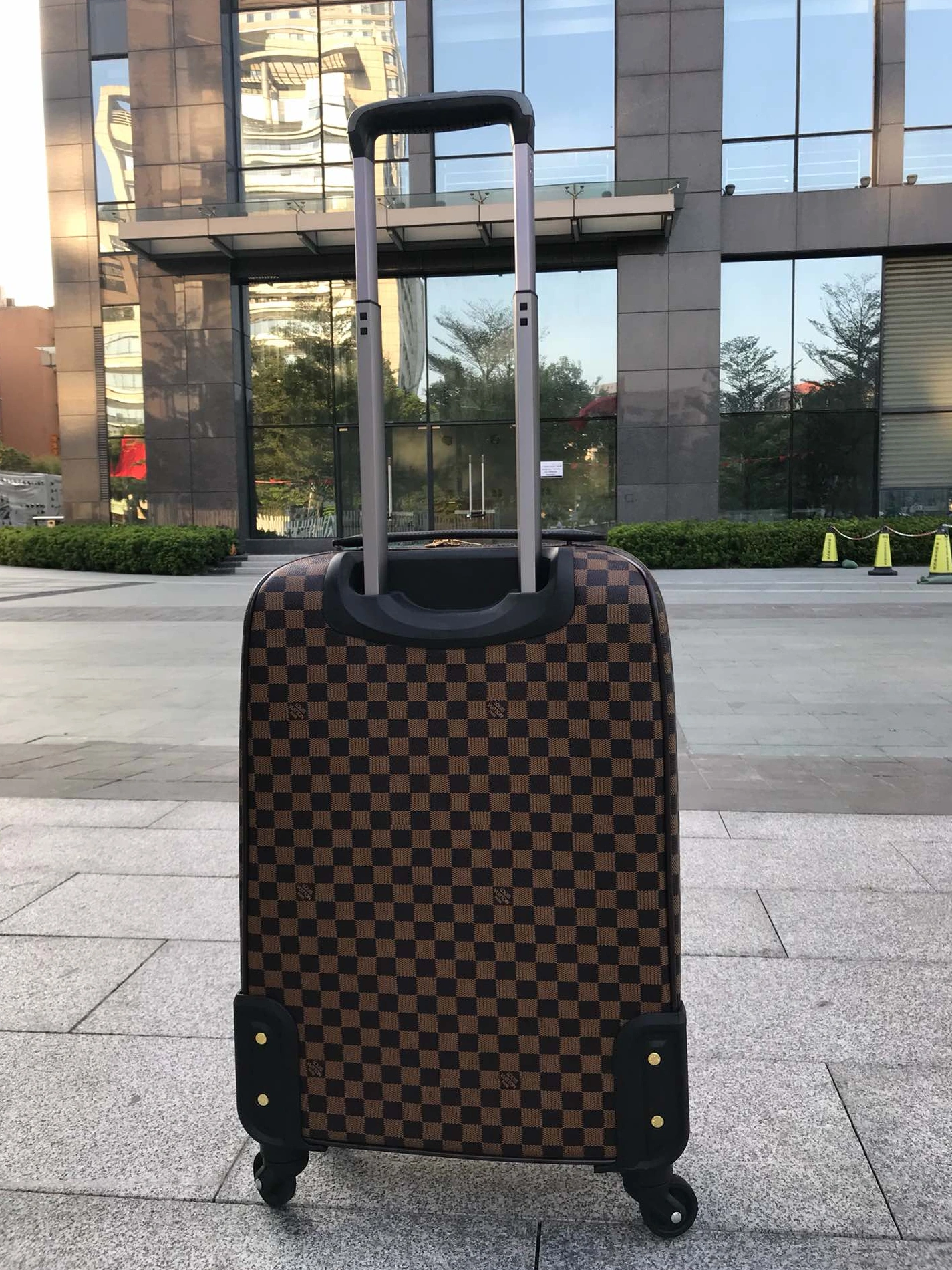 Louis Vuitton Luggage DailyWear 8676