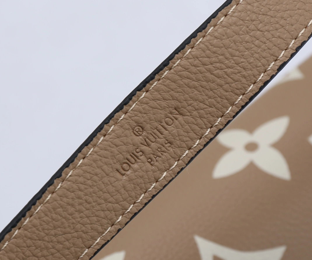 Louis Vuitton Messenger Bags For Women Minimalist 4795