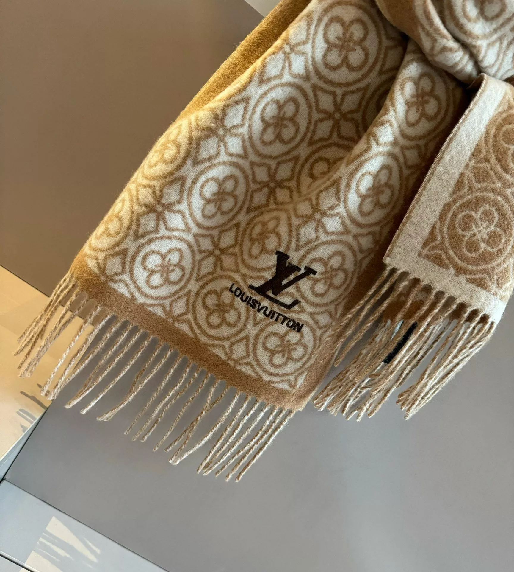 Louis Vuitton Scarf For Women Stylish 4848