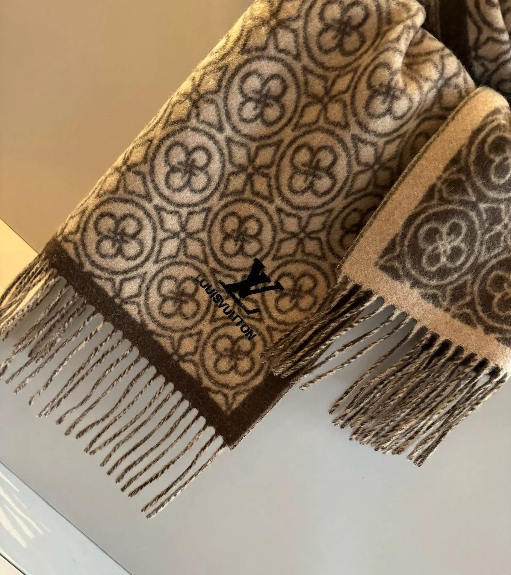 Louis Vuitton Scarf For Women Trendsetting 482