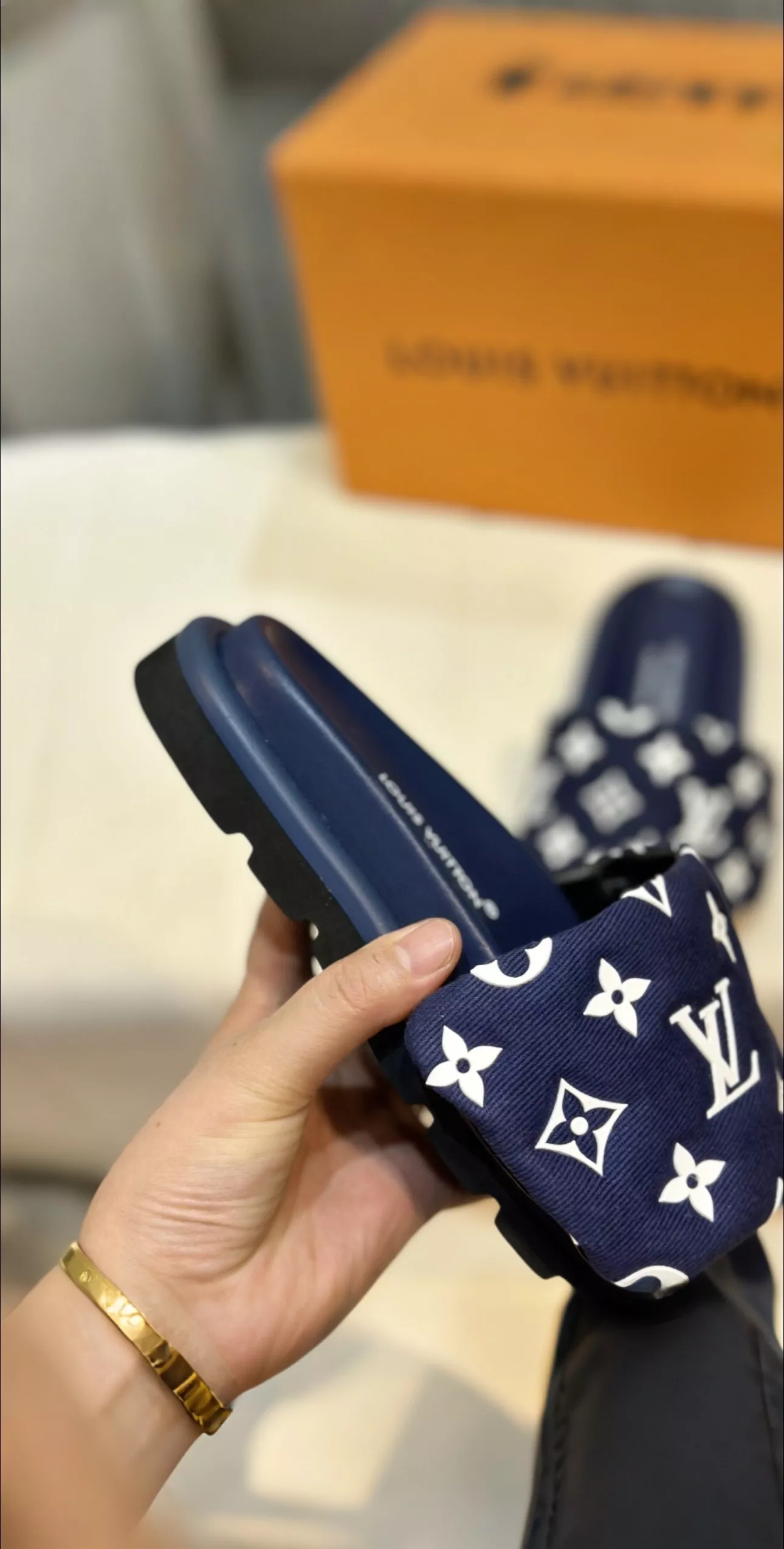 Louis Vuitton Slippers For Men DailyWear 646