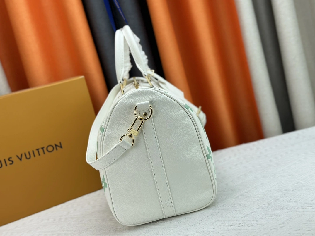 Louis Vuitton Travel Bags Bold 6006