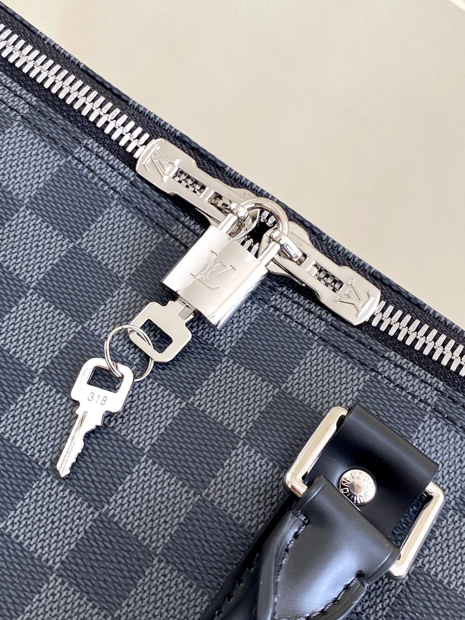 Louis Vuitton Travel Bags DailyWear 8997