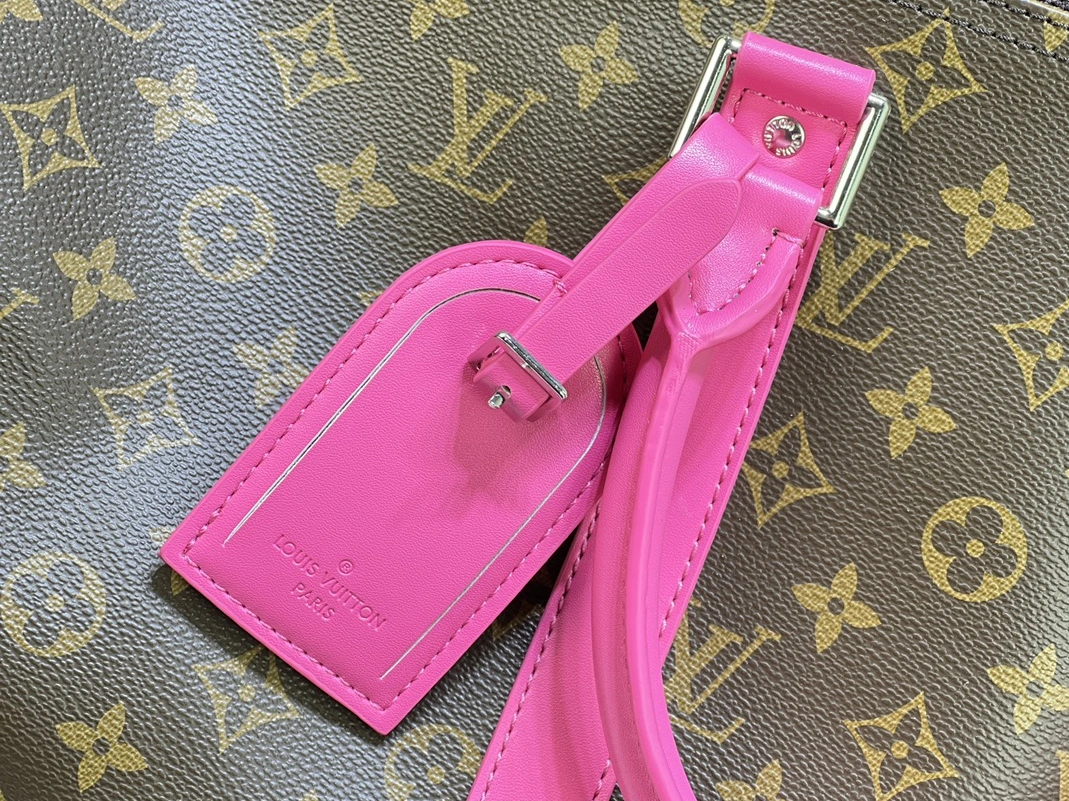 Louis Vuitton Travel Bags Sleek 6007