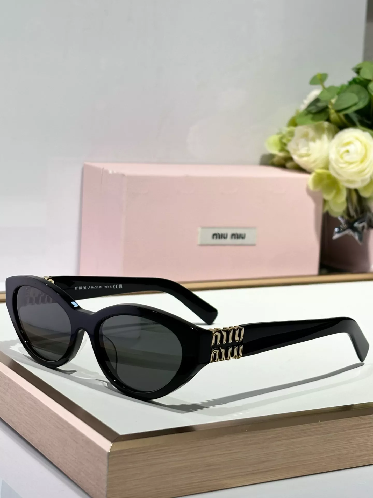 MIU MIU AAA Quality Sunglasses Classic 2976