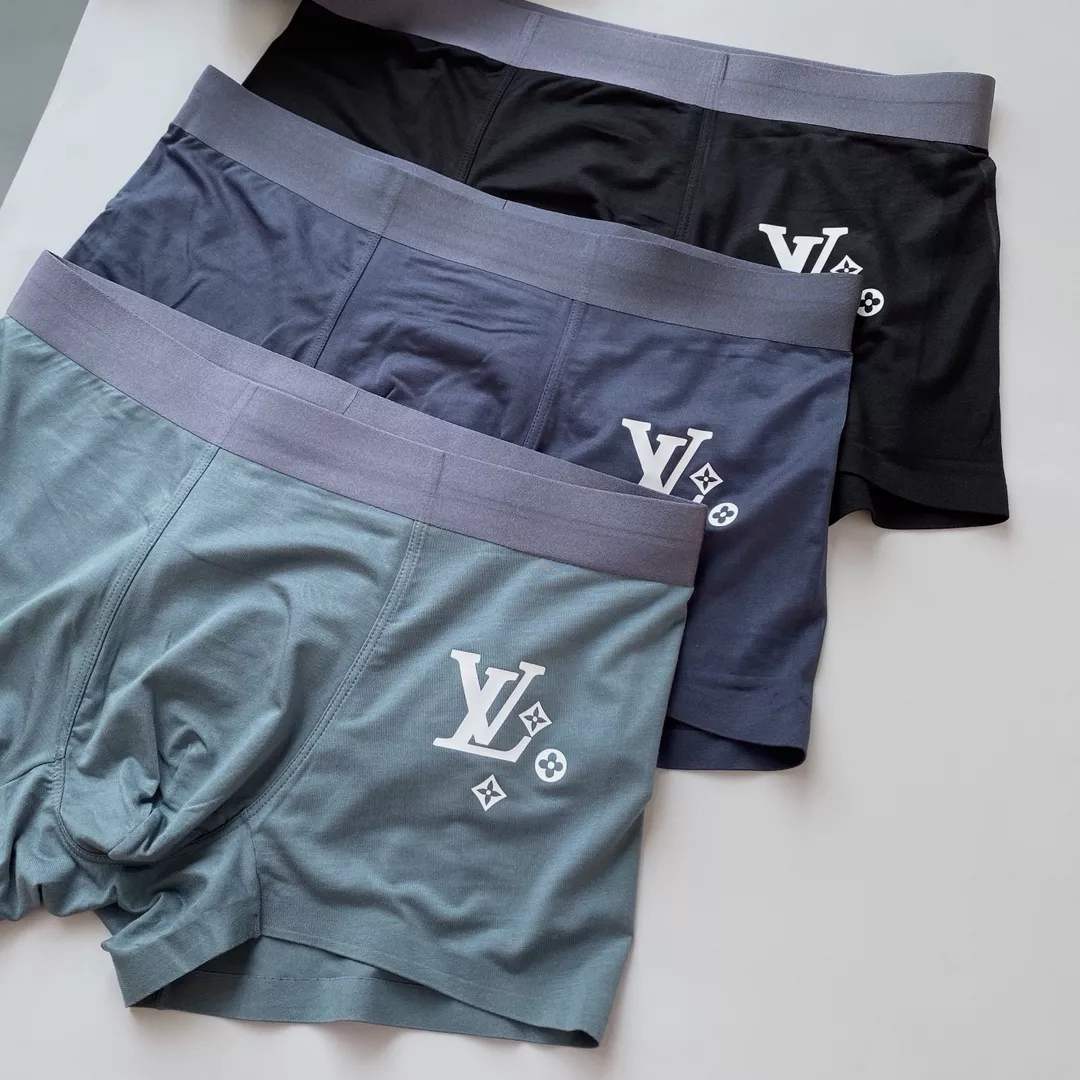 Minimalist 3954 Louis Vuitton LV Underwears For Men