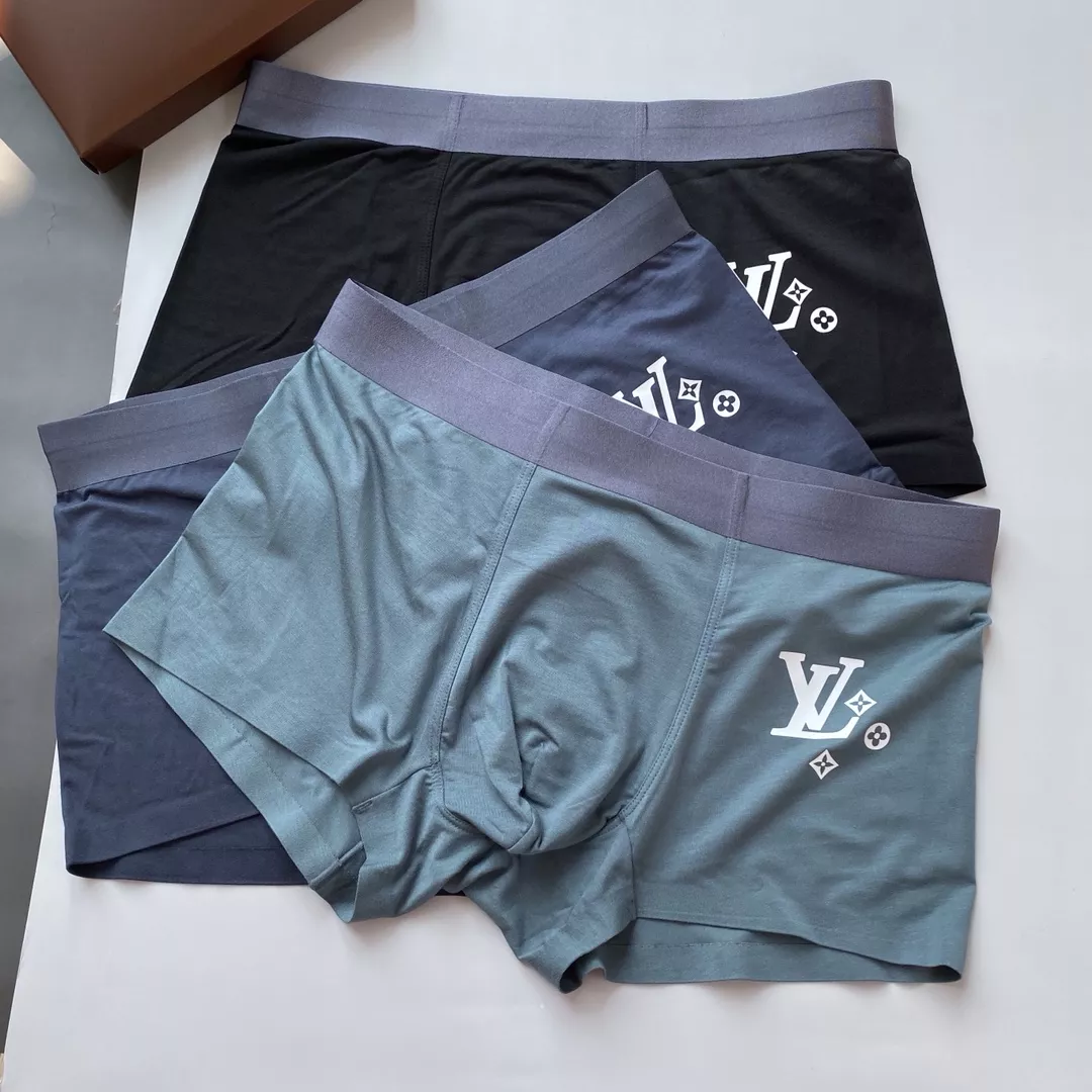 Minimalist 3954 Louis Vuitton LV Underwears For Men
