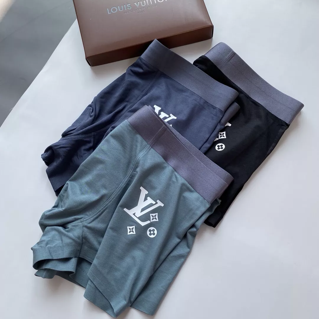 Minimalist 3954 Louis Vuitton LV Underwears For Men