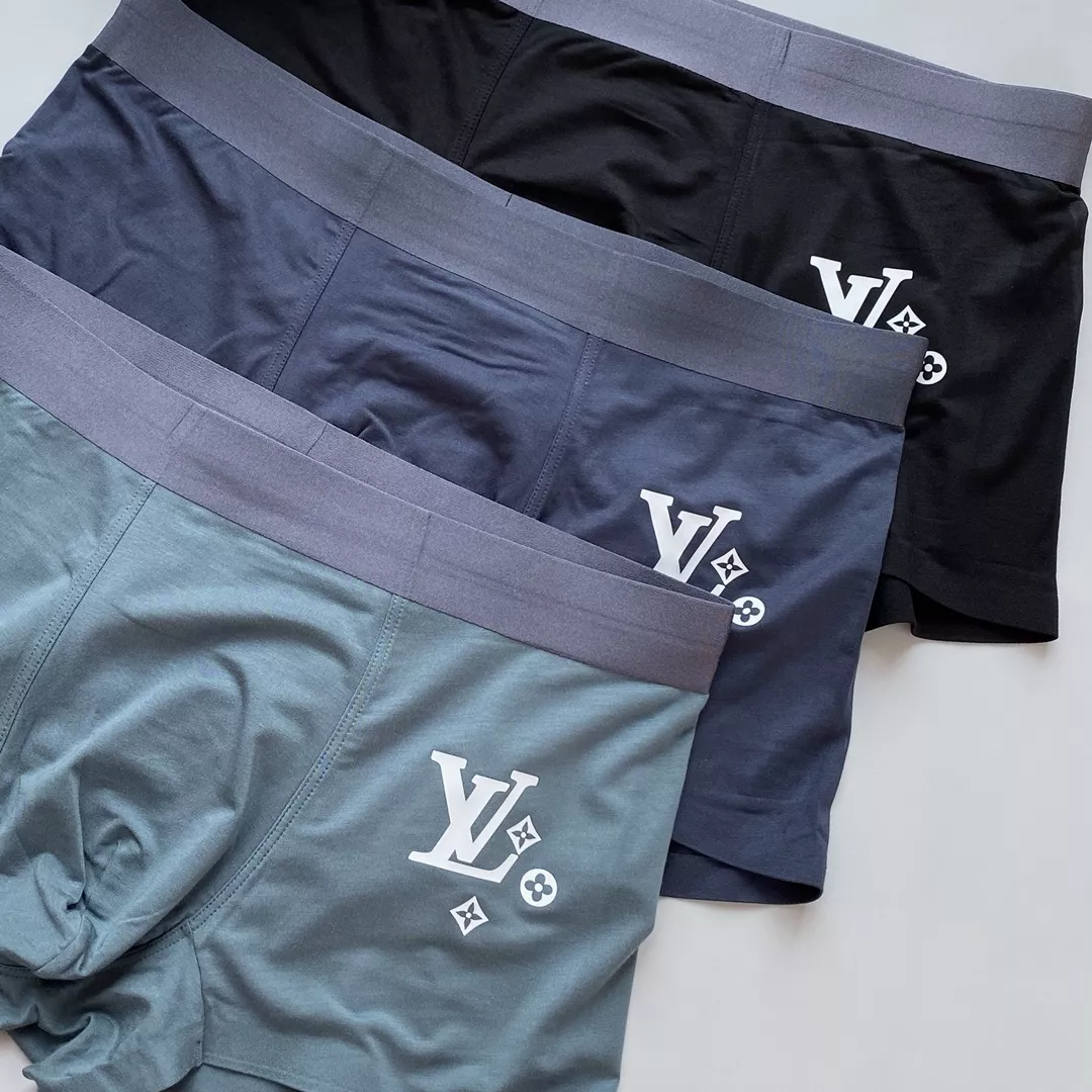 Minimalist 3954 Louis Vuitton LV Underwears For Men
