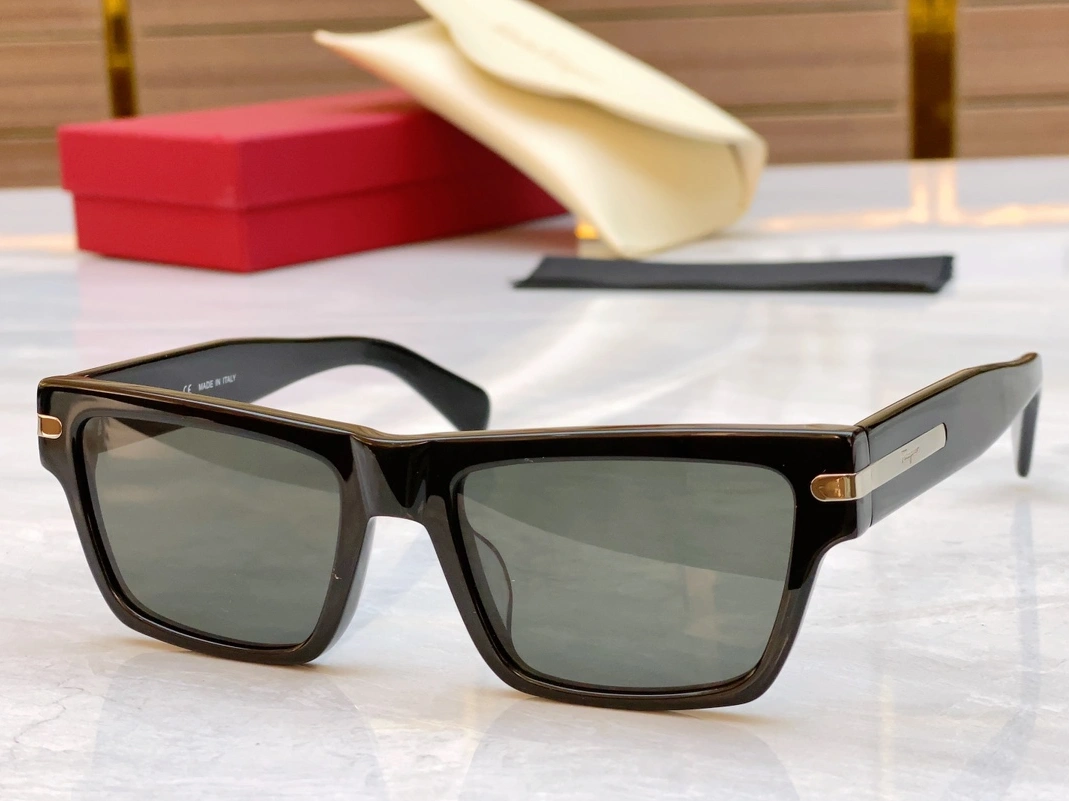 Minimalist 4949 Salvatore Ferragamo AAA Quality Sunglasses