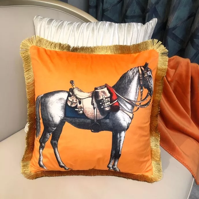 Minimalist 694 Hermes Cushion