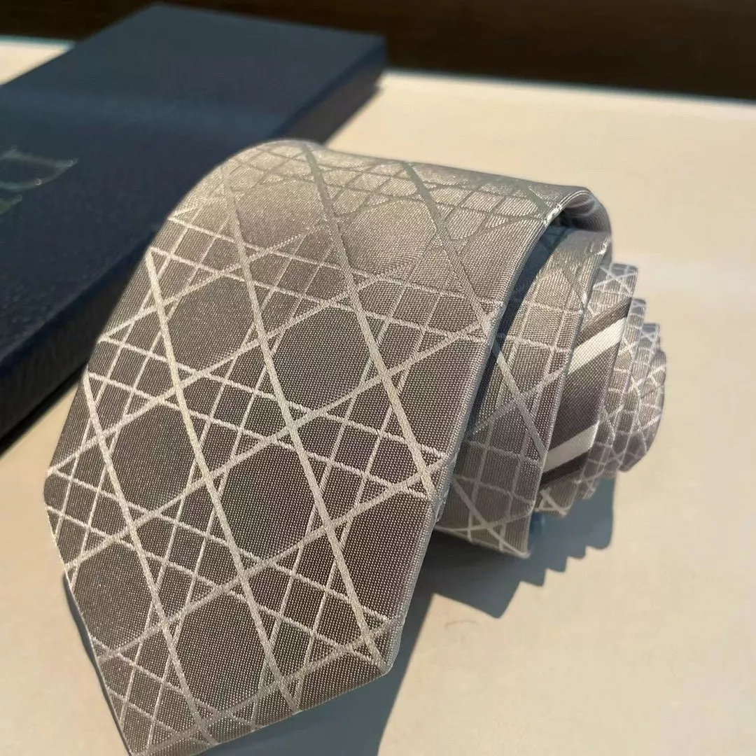 Minimalist 757 Christian Dior Necktie