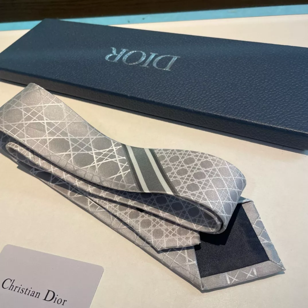Minimalist 757 Christian Dior Necktie