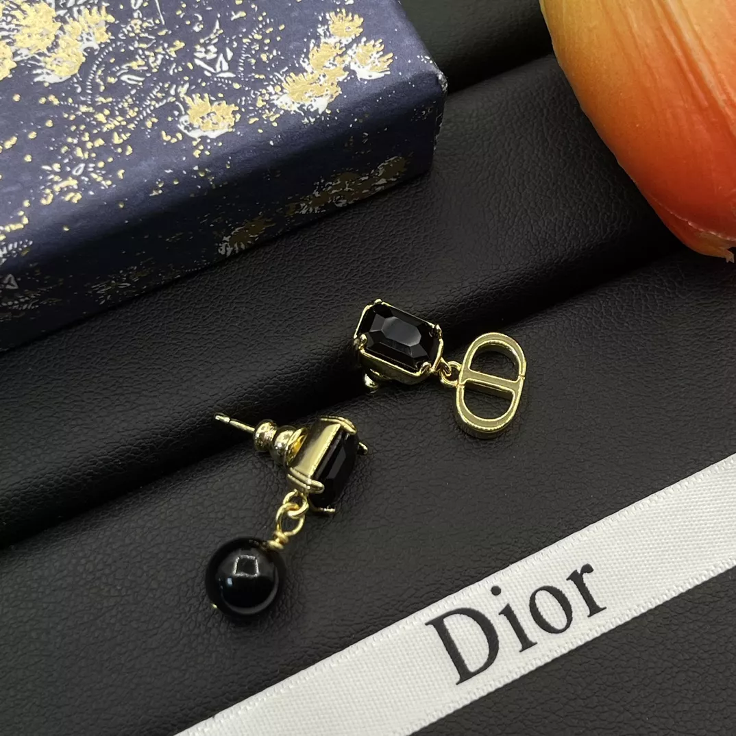 Modern 3008 Christian Dior Earrings For Women