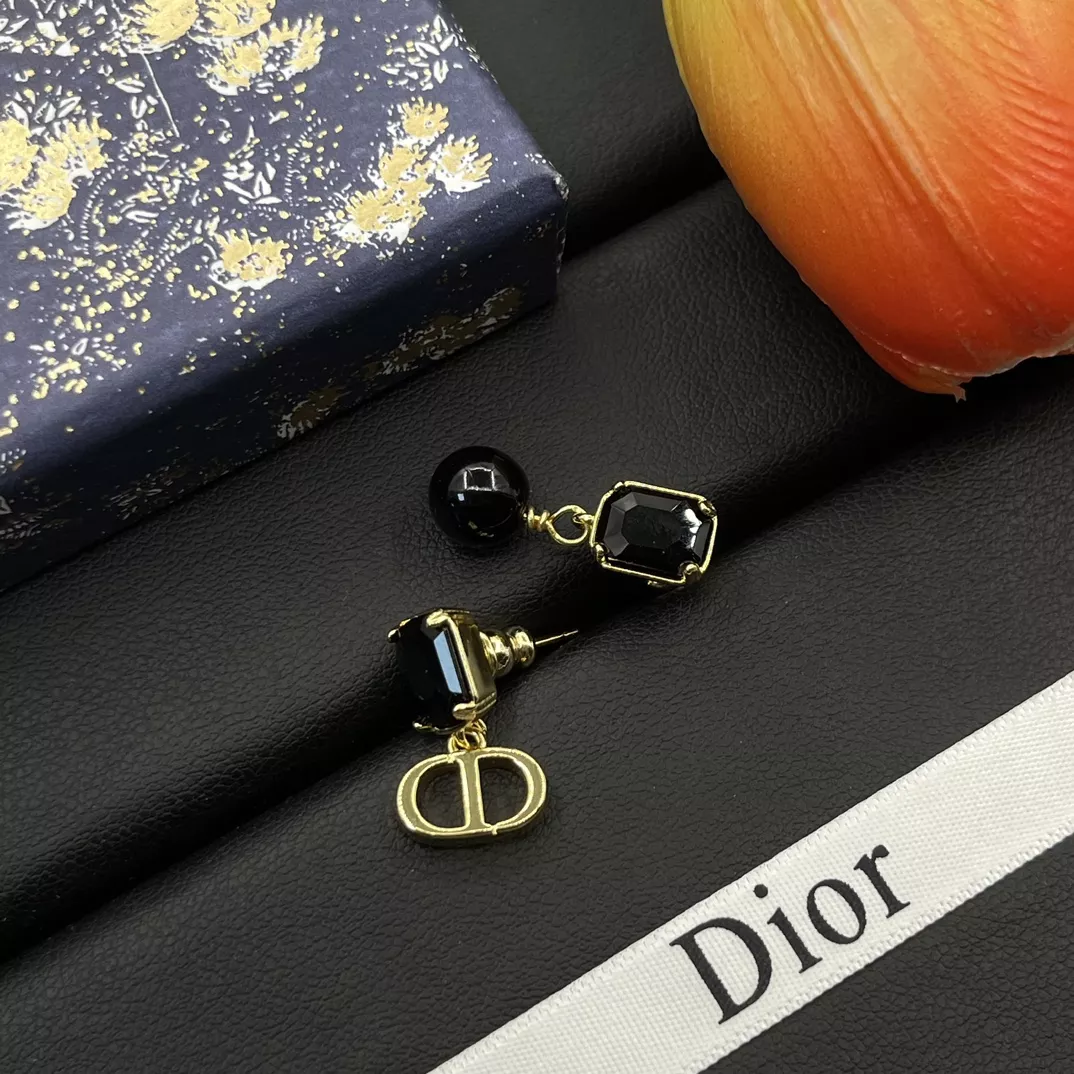 Modern 3008 Christian Dior Earrings For Women