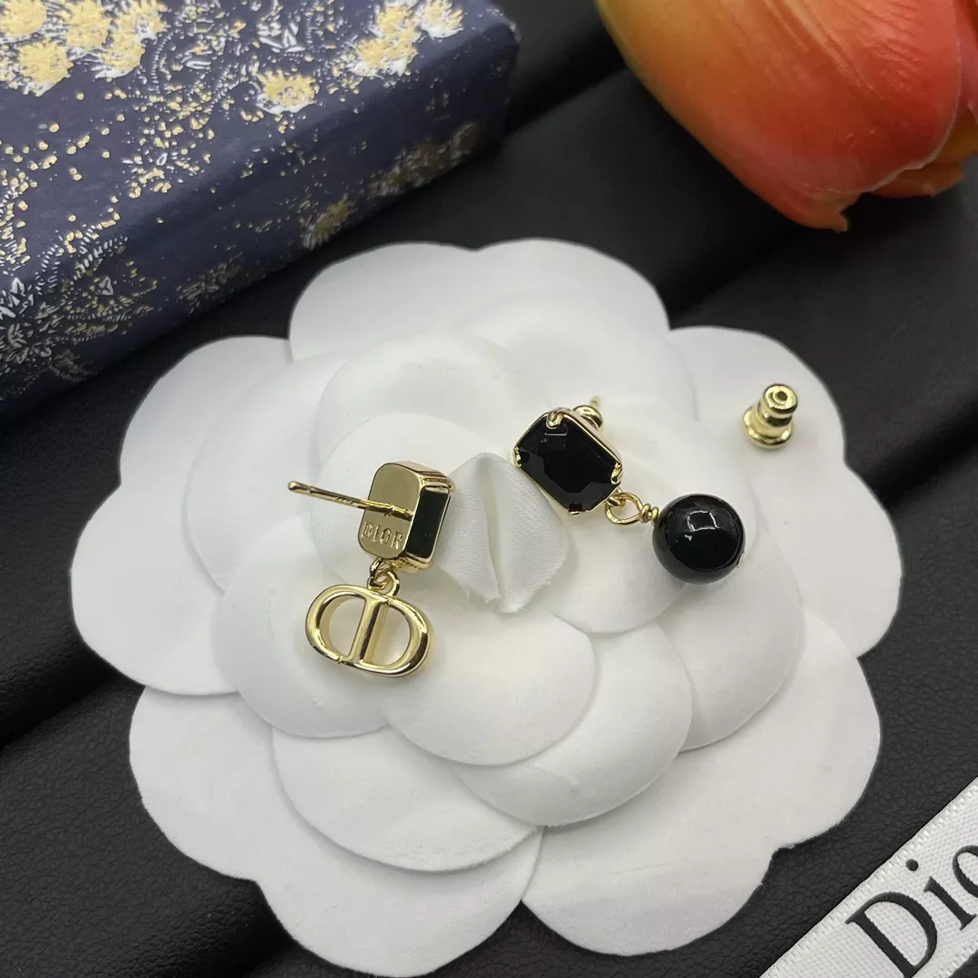Modern 3008 Christian Dior Earrings For Women