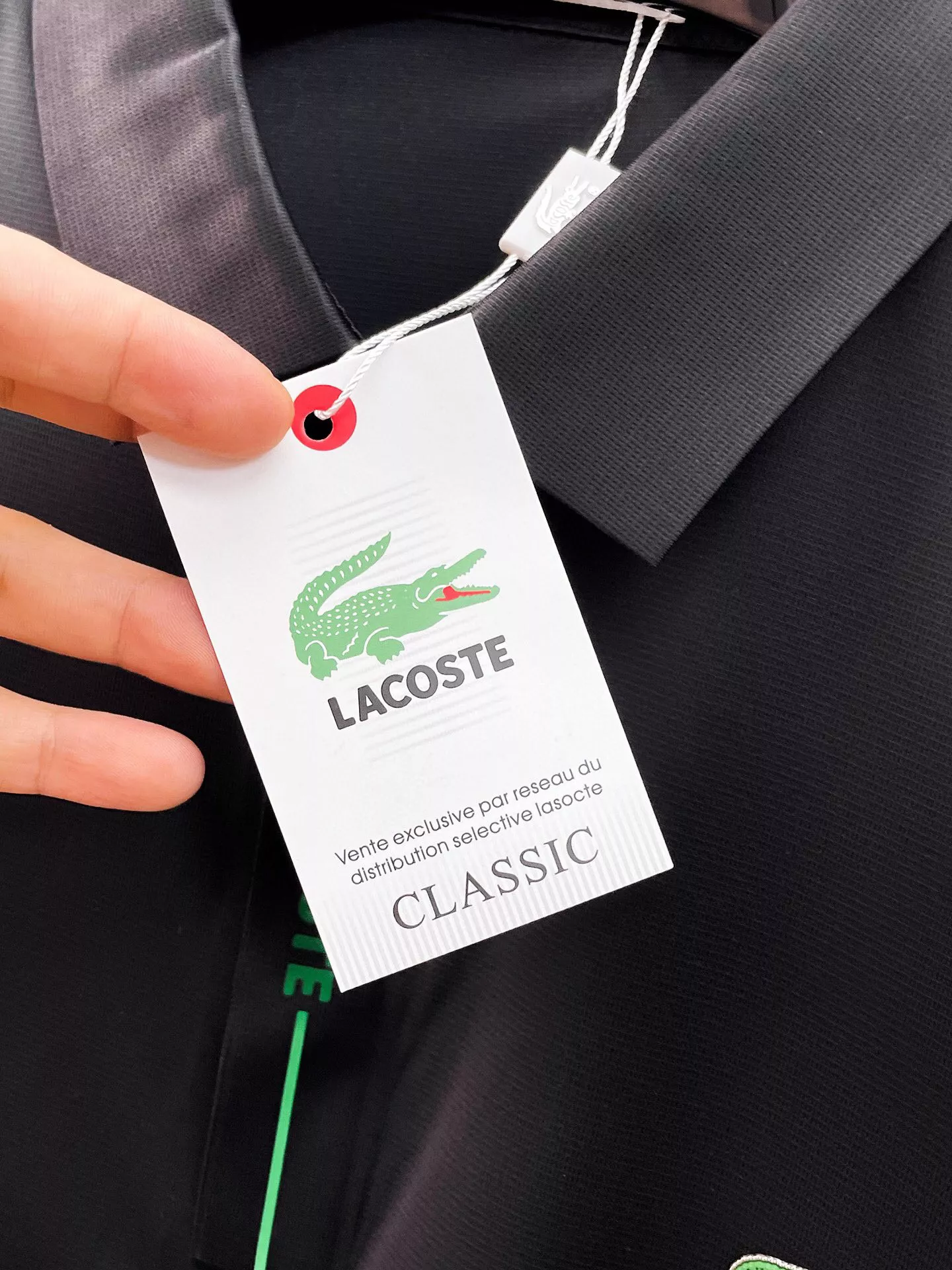 Modern 4361 Lacoste T-Shirts Short Sleeved For Men