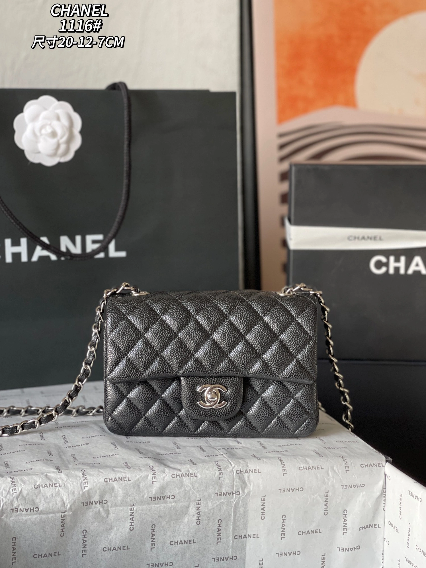 Modern 7009 Chanel AAA Quality Messenger Bags For Women