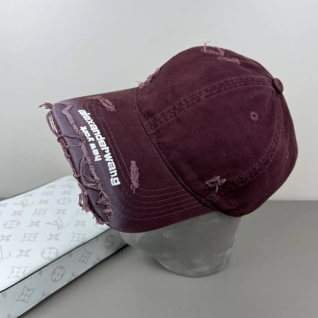 Modern 8299 Alexander Wang Caps