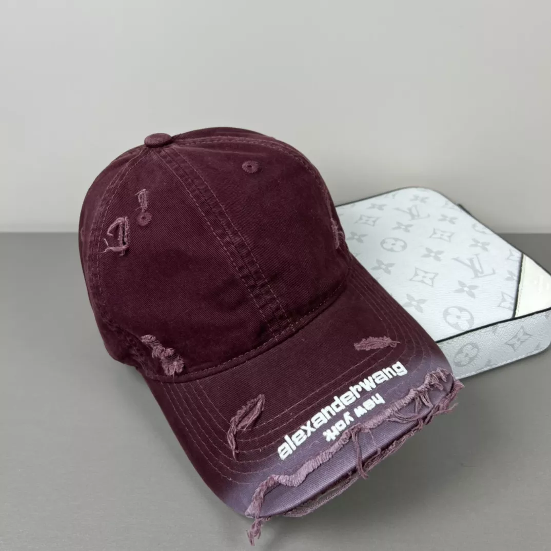 Modern 8299 Alexander Wang Caps