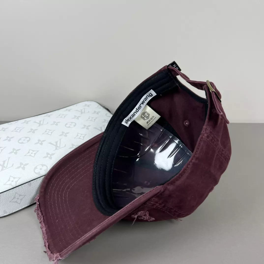 Modern 8299 Alexander Wang Caps
