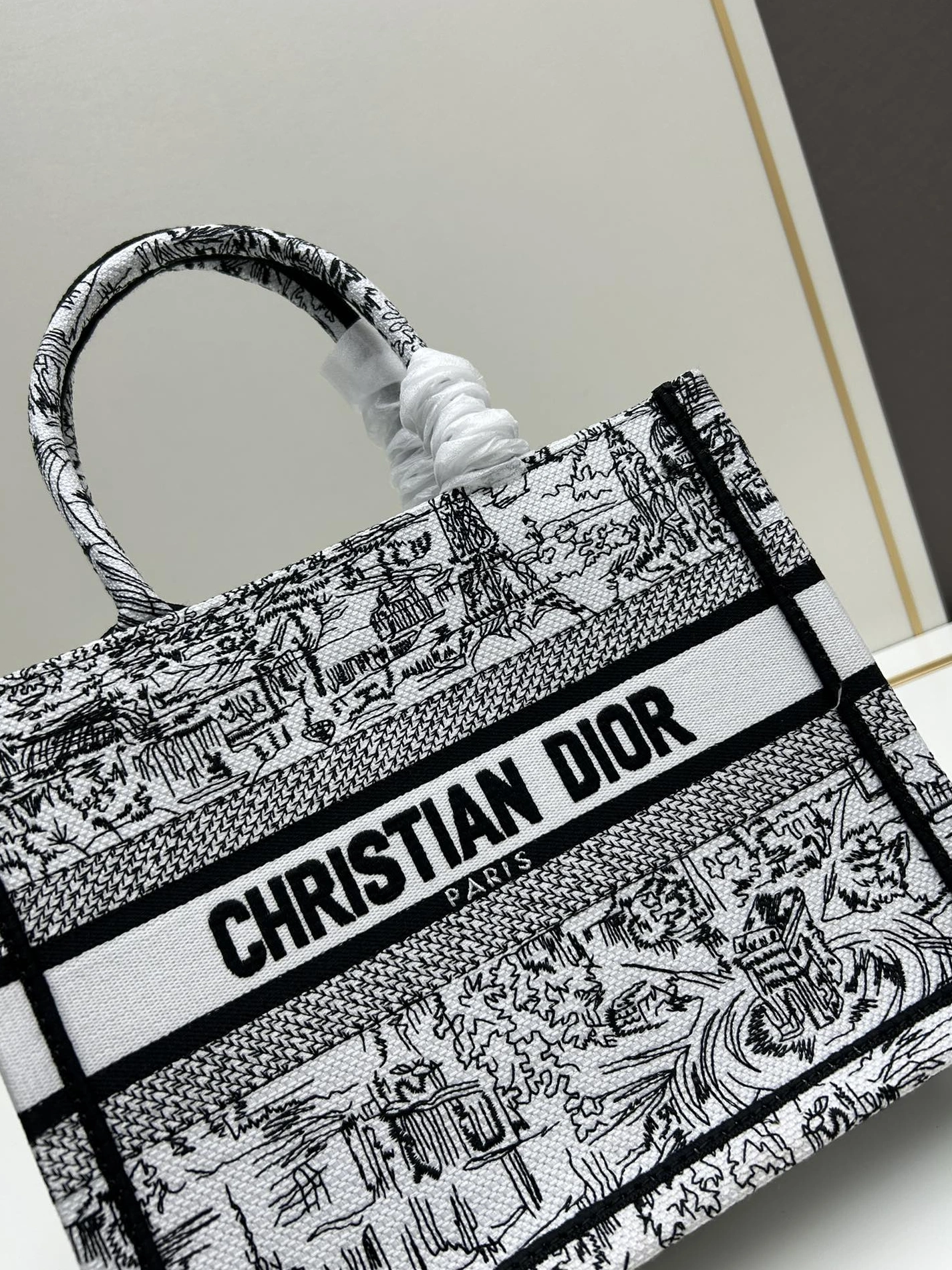 ModernLook 6032 Christian Dior AAA Quality Tote-Handbags For Women