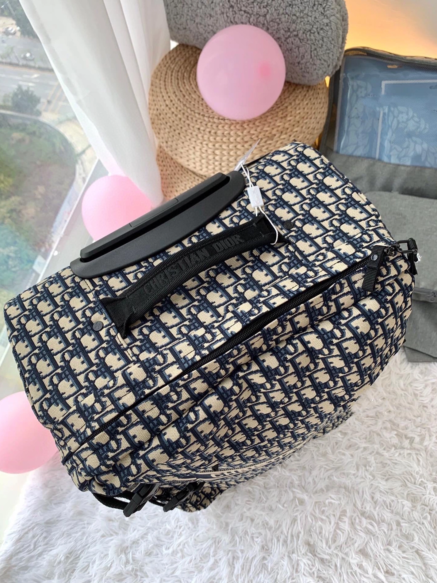 ModernLook 739 Christian Dior Luggage and Duffle