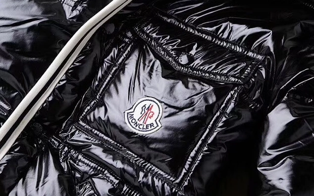 Moncler Down Feather Coat Long Sleeved For Men Sleek 1580