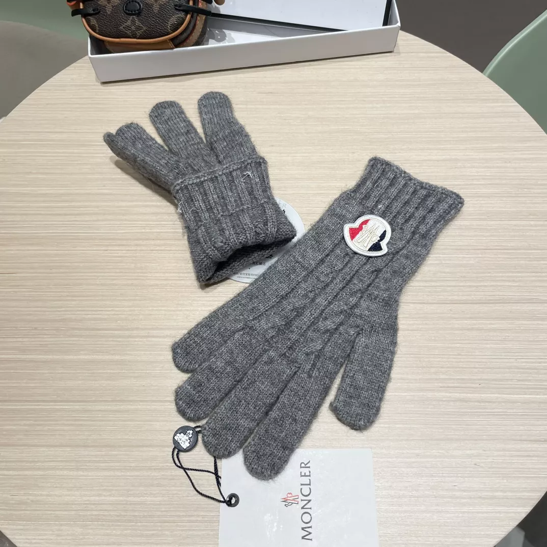 Moncler Gloves GoAnywhere 950